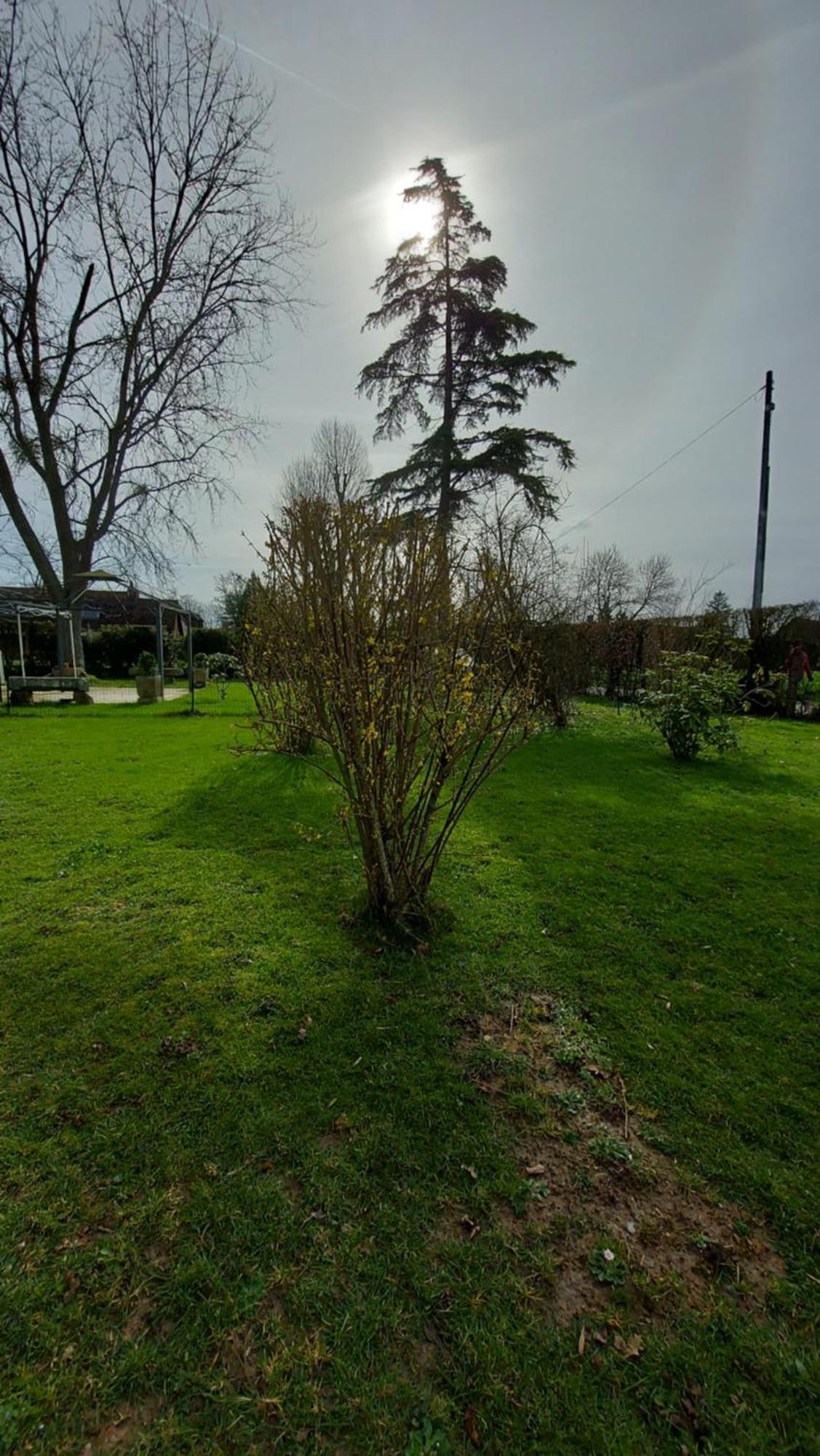 Villa Maella Saint-Michel-Tuboeuf Exterior foto